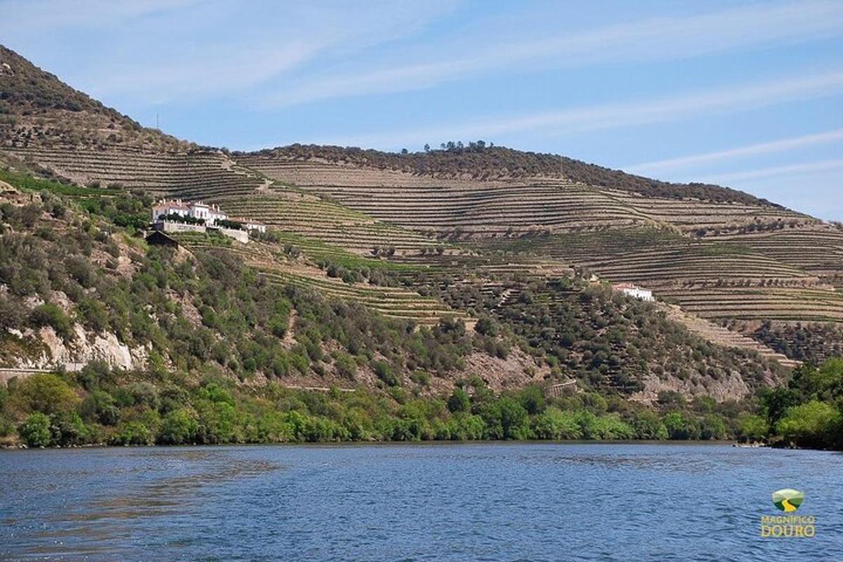 a view of a hill with a river and a mountain