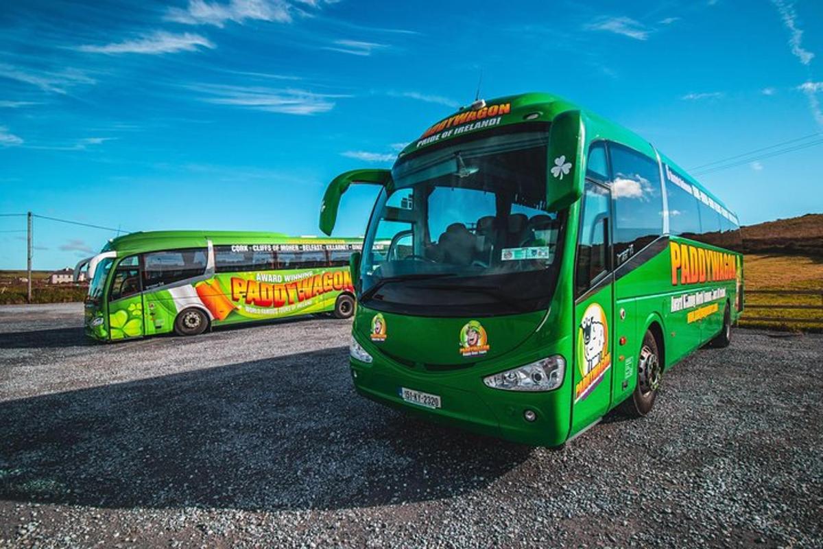 a green bus parked next to another green bus