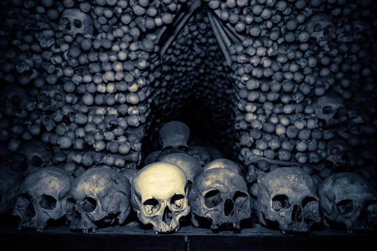 Un grupo de cráneos colocados en un estante en una cueva.