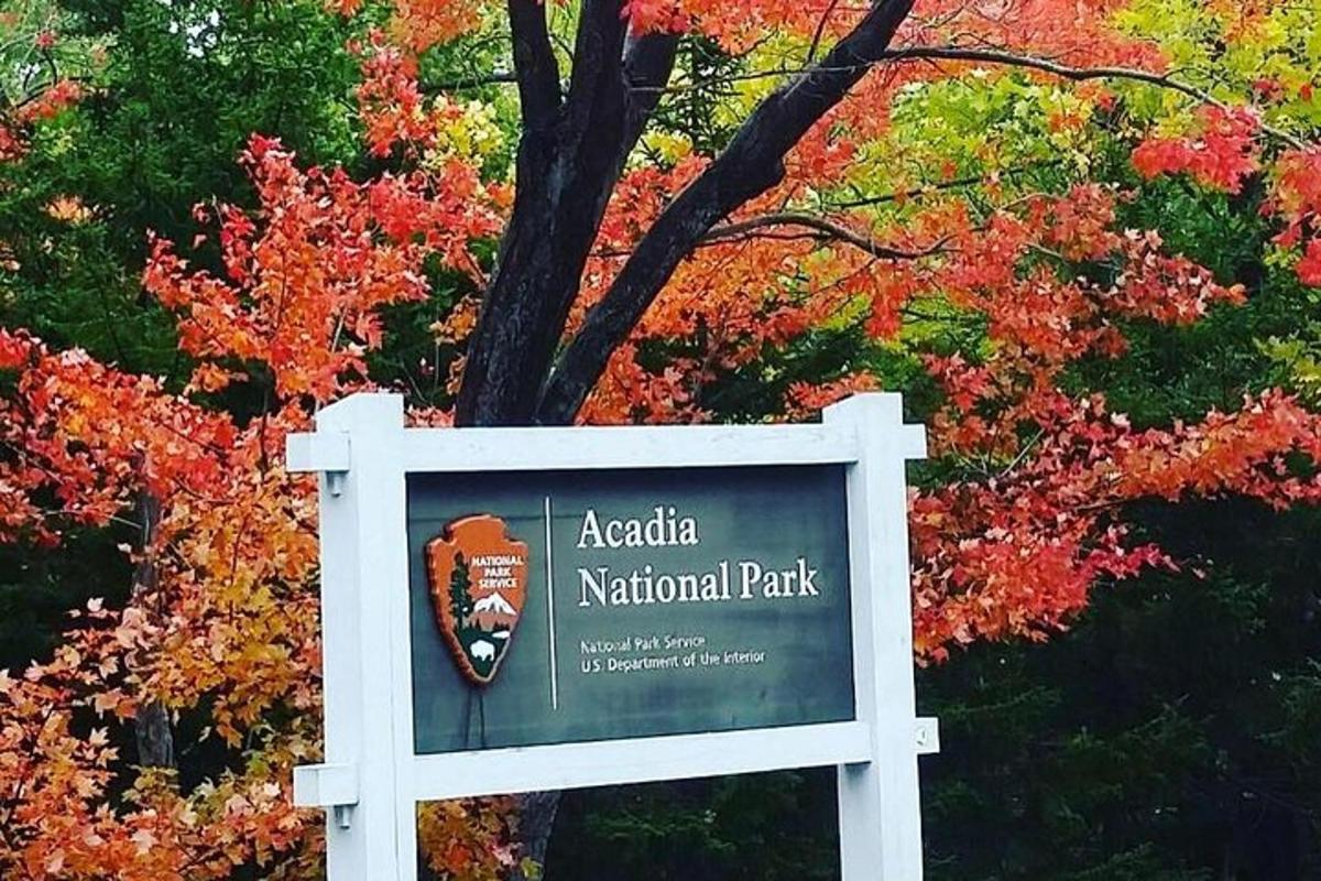 a sign for acadia national park in front of a tree