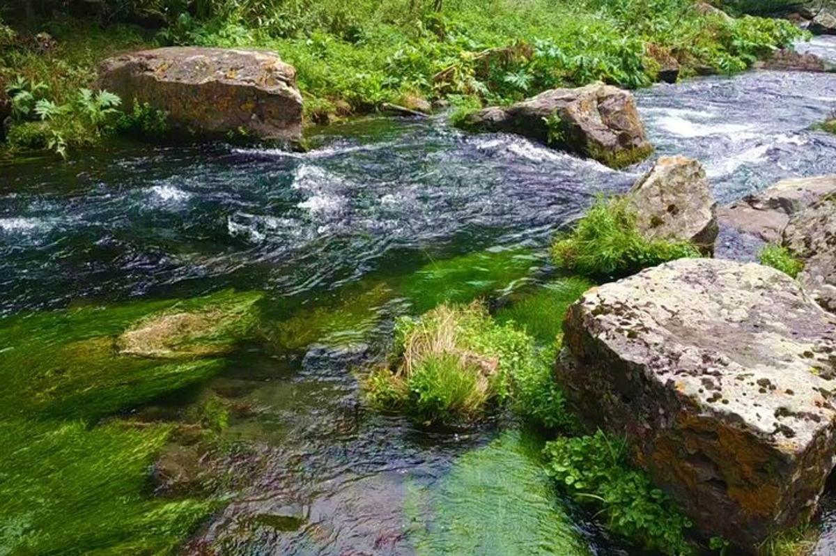 a stream of water with rocks and green grass