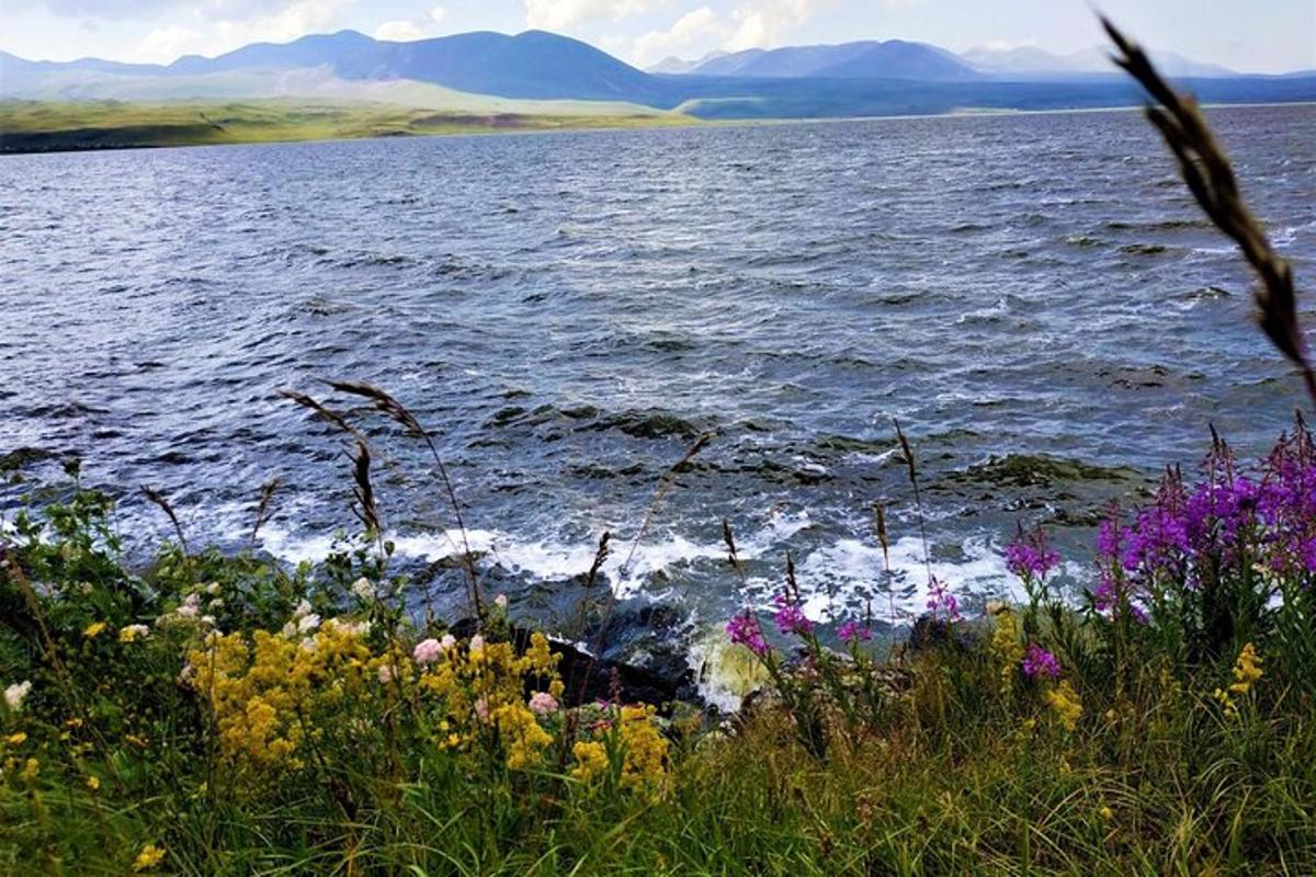 a view of a body of water with flowers