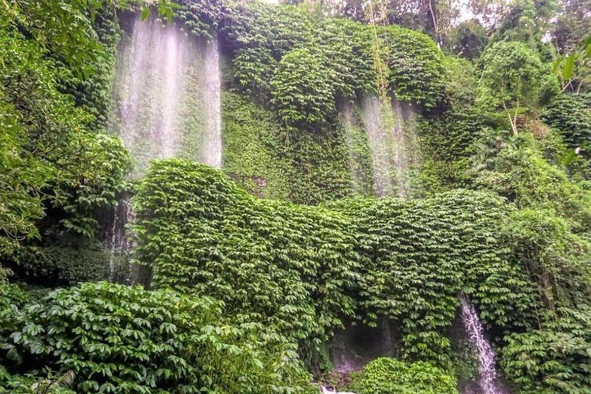 un muro ricoperto di piante verdi e cascate