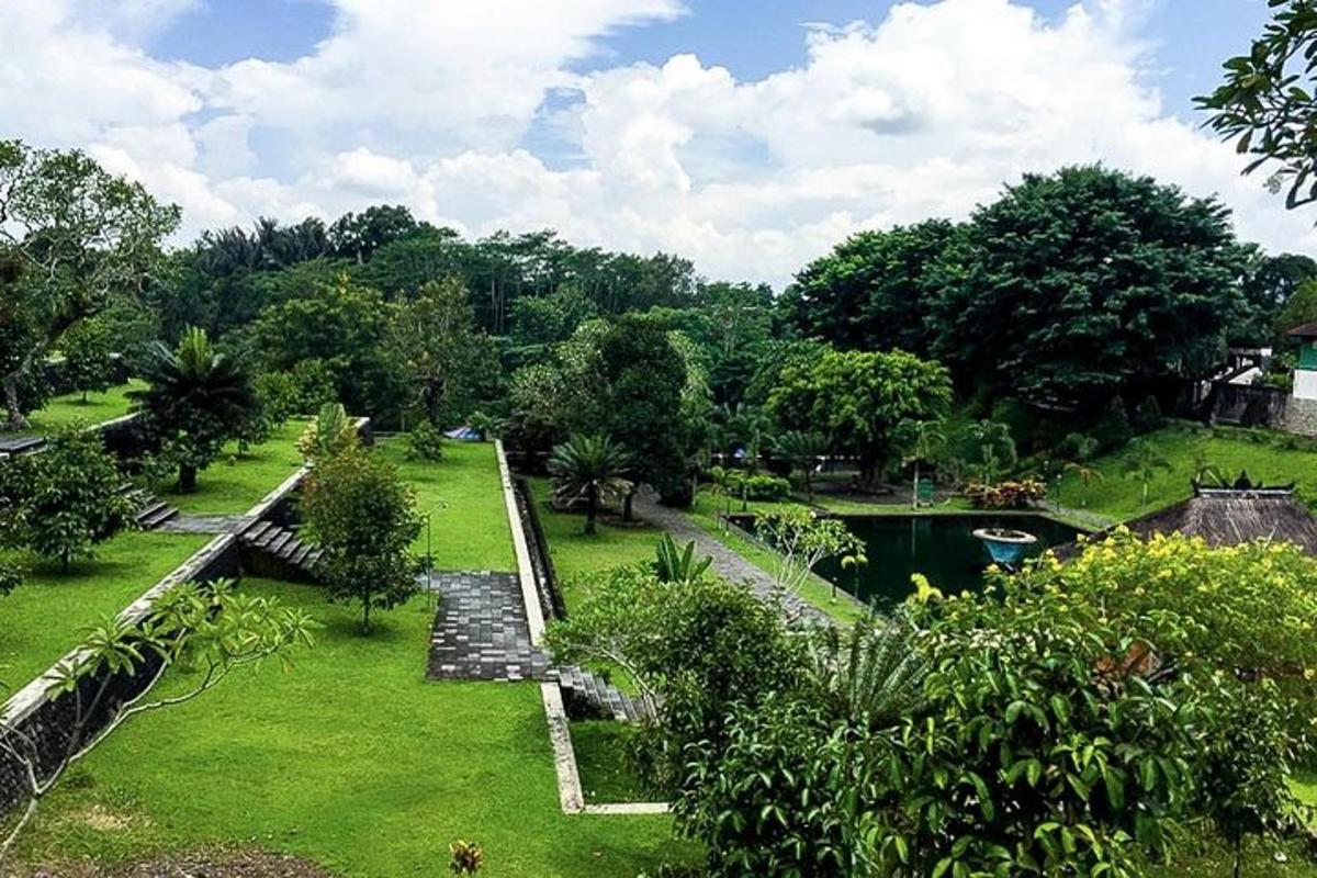una vista di un giardino con uno stagno e degli alberi
