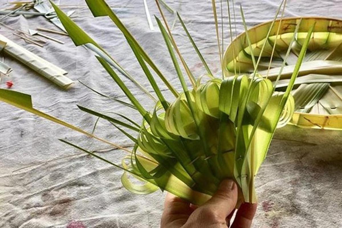 una persona che tiene in mano una pianta verde davanti a un tavolo