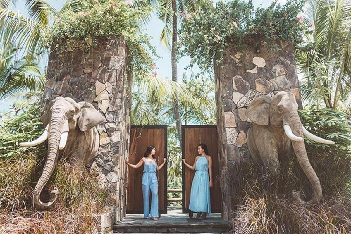 两个女人站在两头大象前面