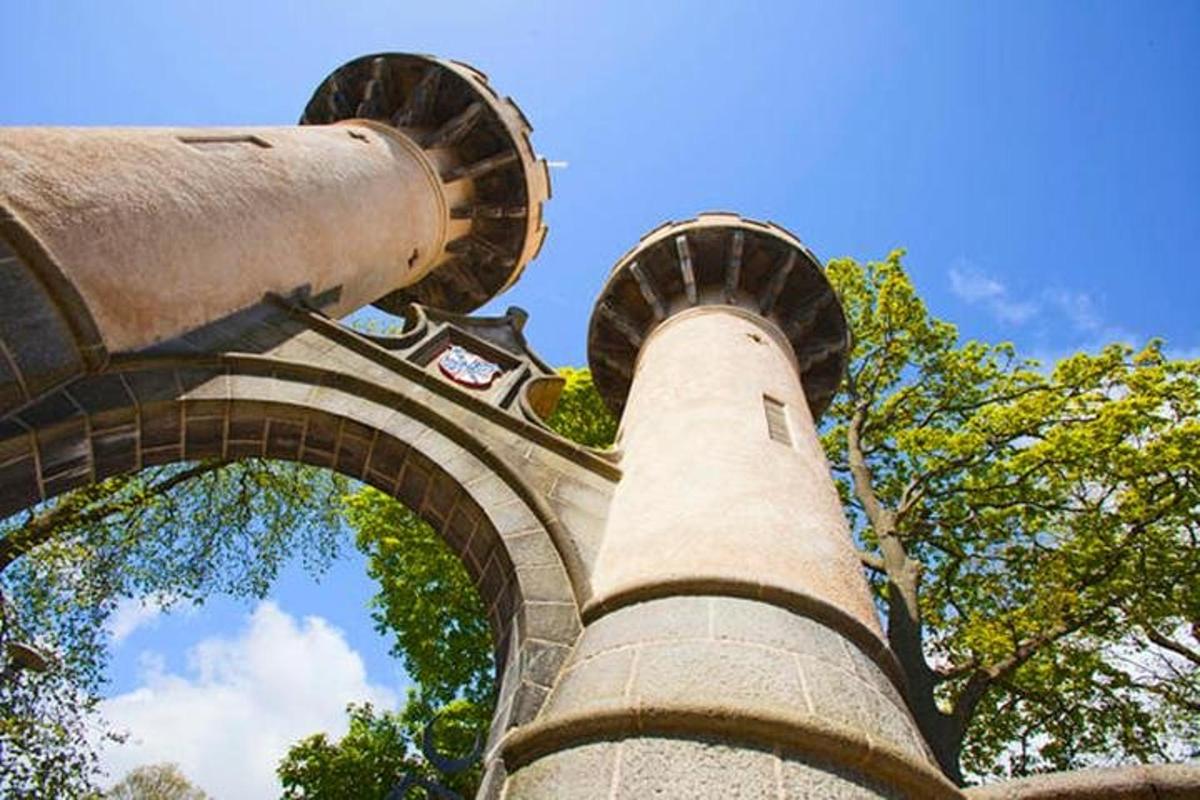 una vista della cima di una torre con alberi