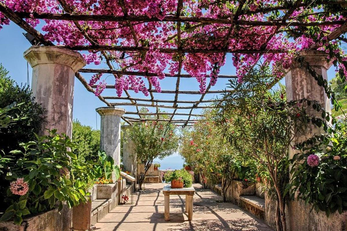 en hage med rosa blomster på en pergola