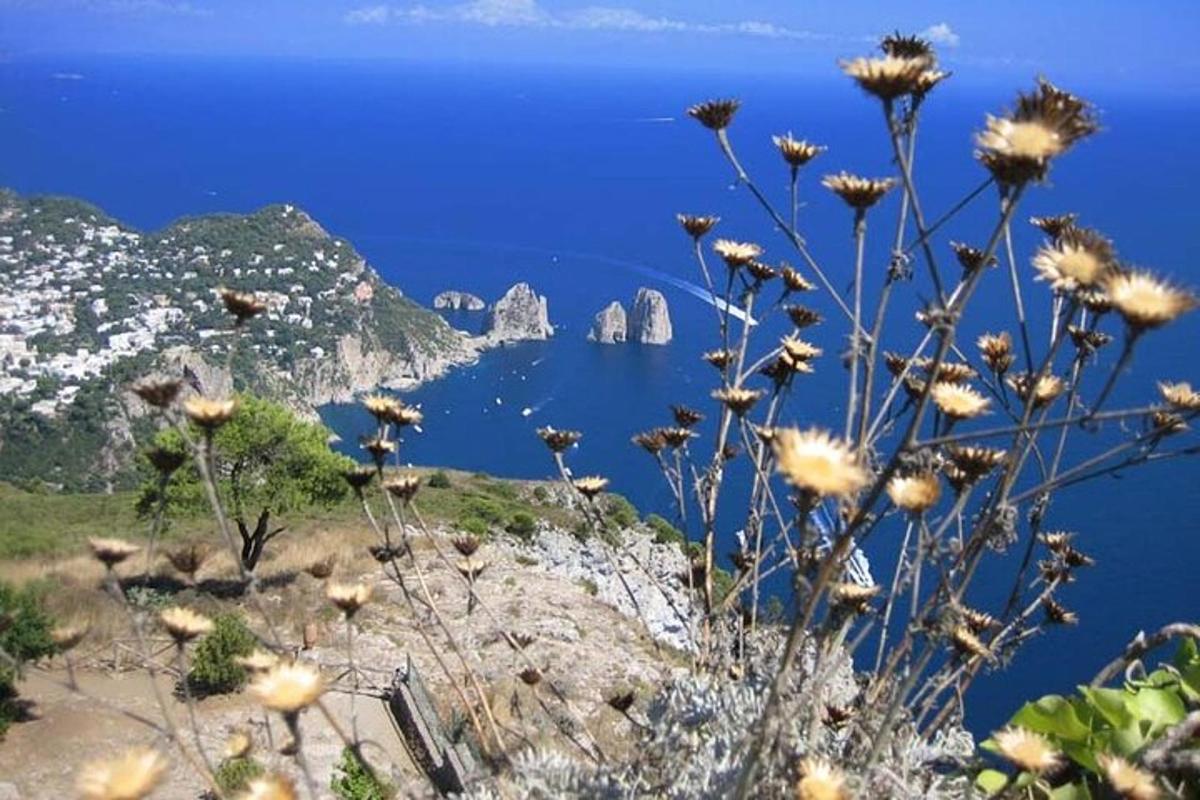 Skats uz Amalfi piekrasti ar ziediem uz klints