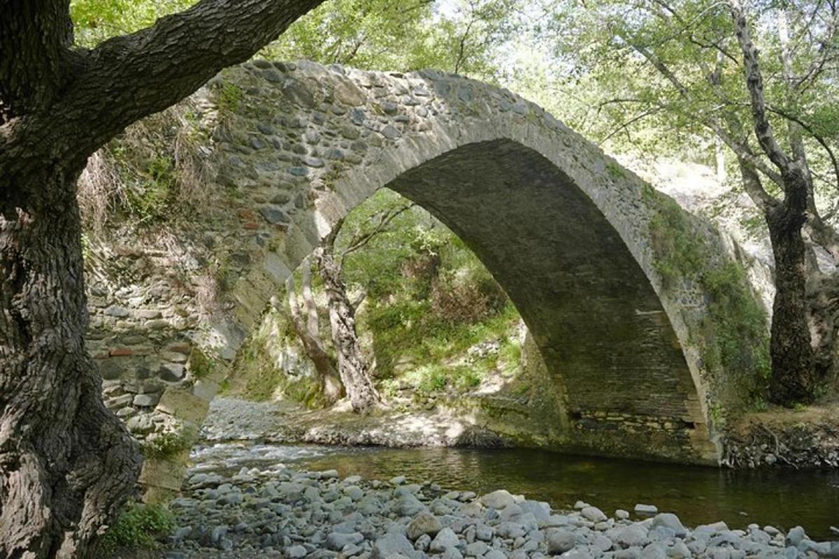 a stone bridge over a river in a forest