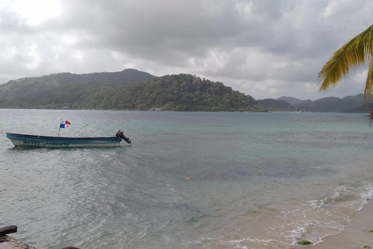 čoln z zastavo v vodi na plaži