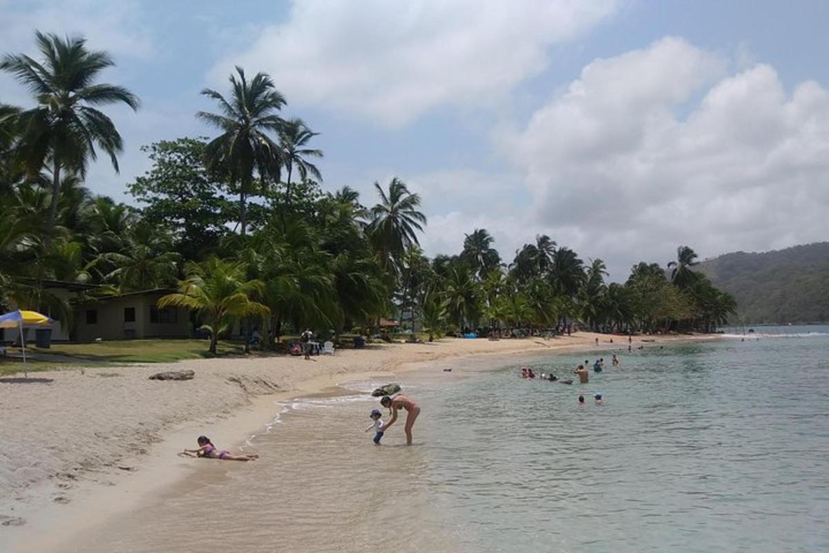 skupina ljudi na plaži s palmami