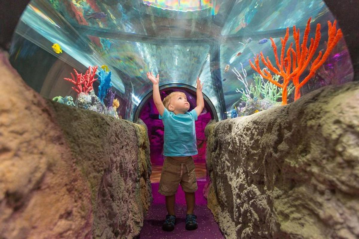 a young child standing in front of an aquarium