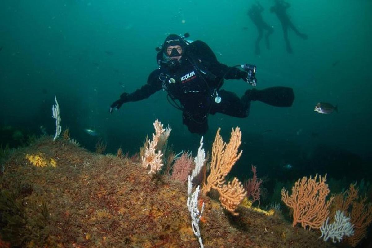 seorang lelaki sedang berenang di lautan berhampiran terumbu karang