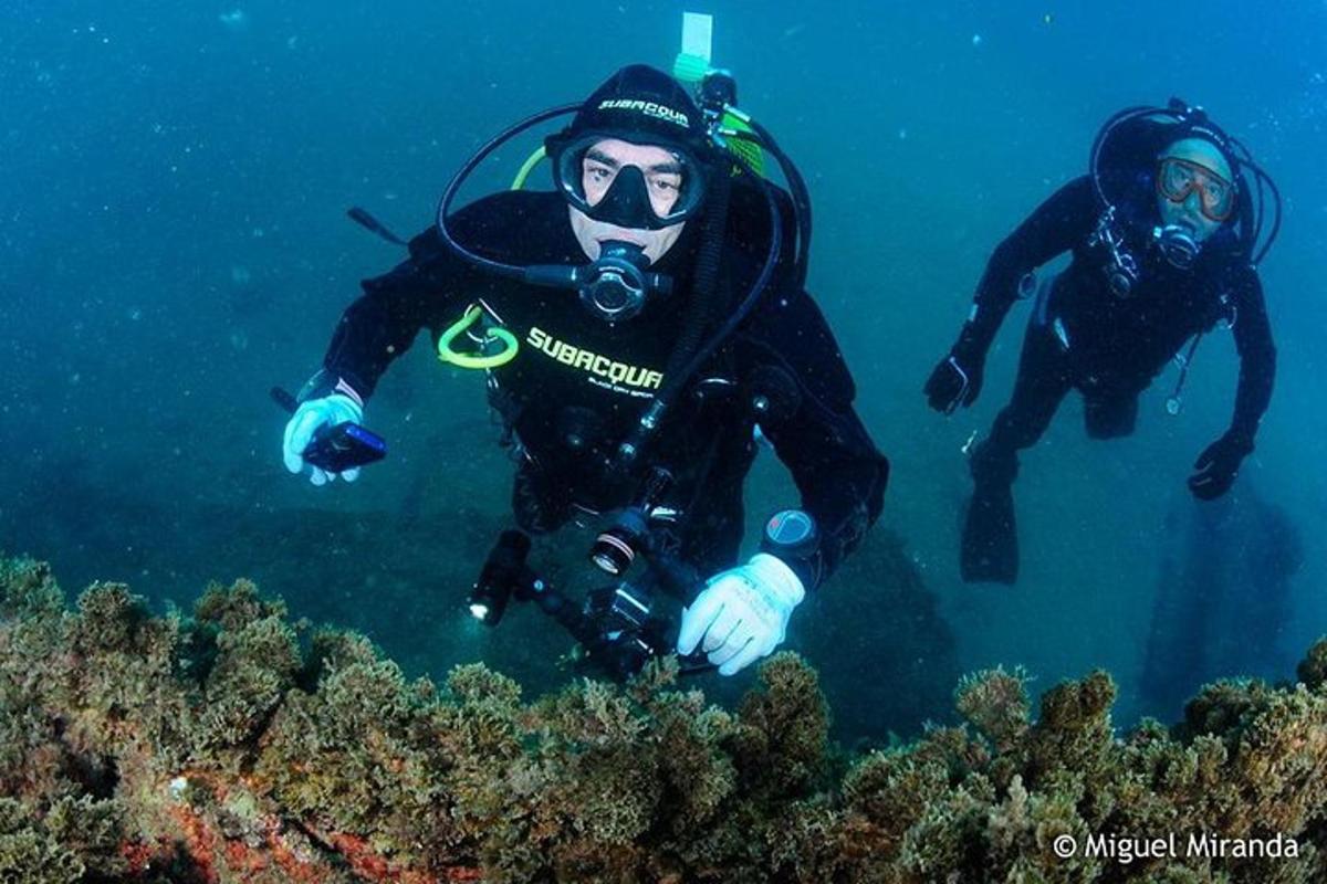 dua orang dalam peralatan menyelam berenang di lautan