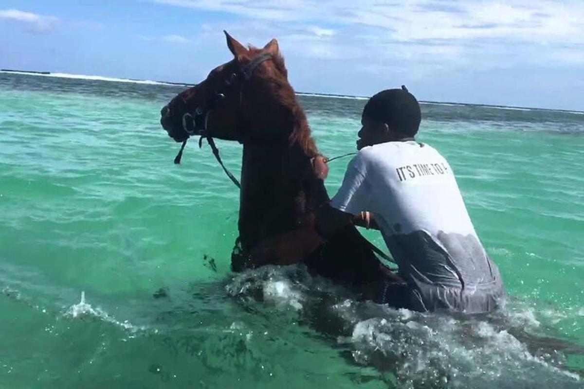 una persona a cavallo nell'oceano