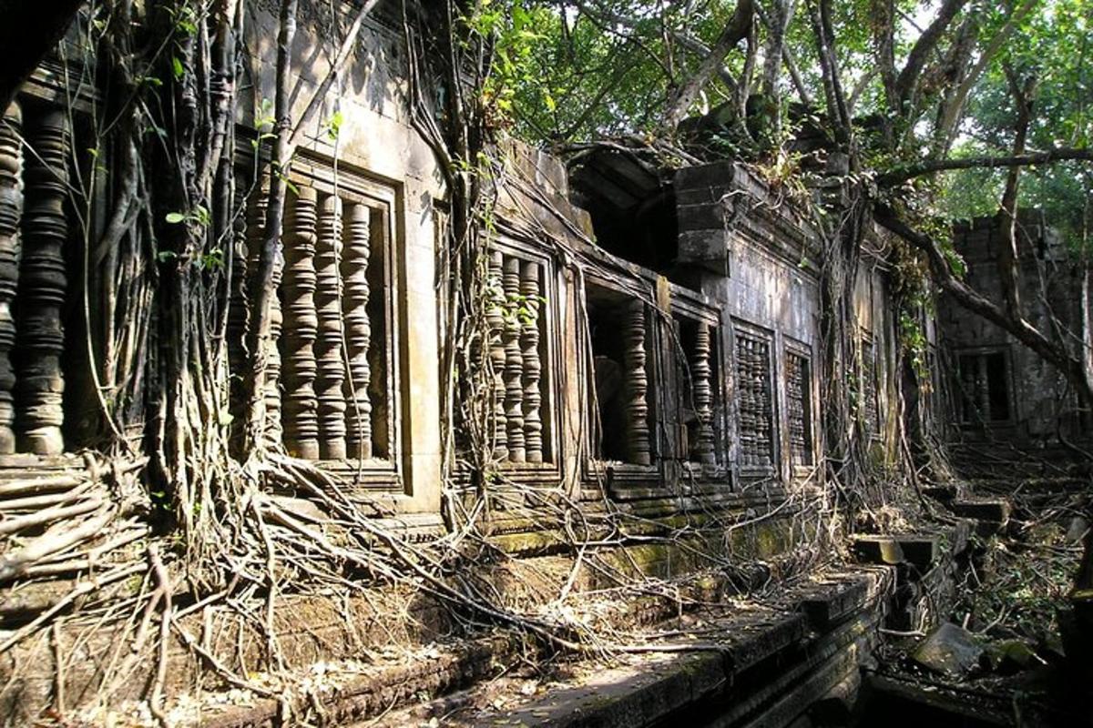 un edifici antic amb arbres que creixen al seu voltant