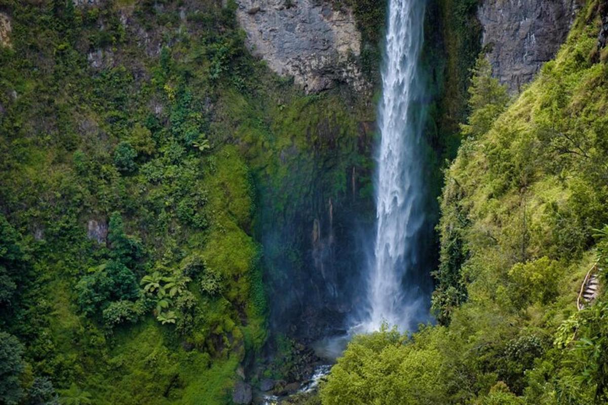 an aerial view of a waterfall in the jungle