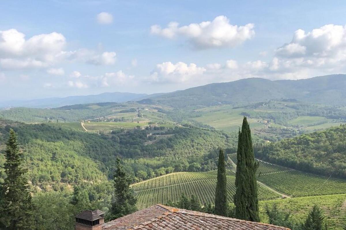 uma vista de um vale com colinas e árvores