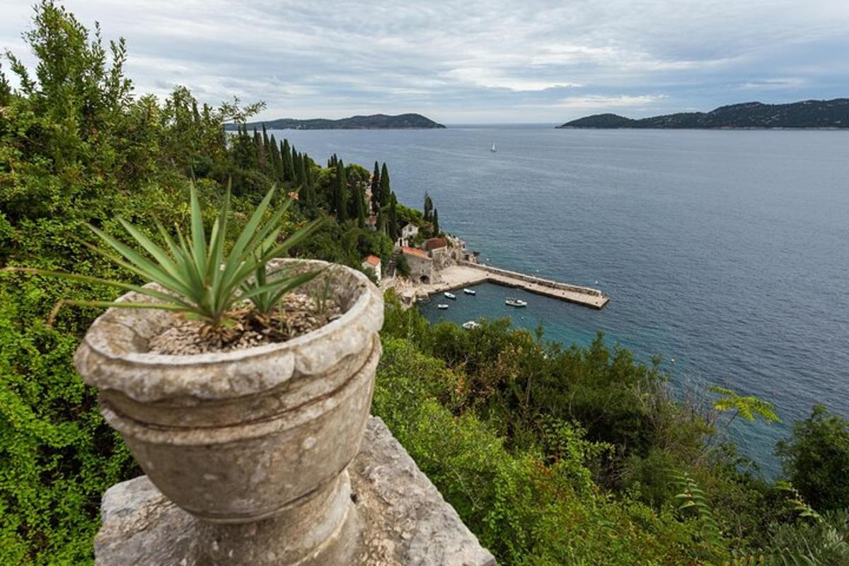 uma planta em vaso no topo de um muro de pedra