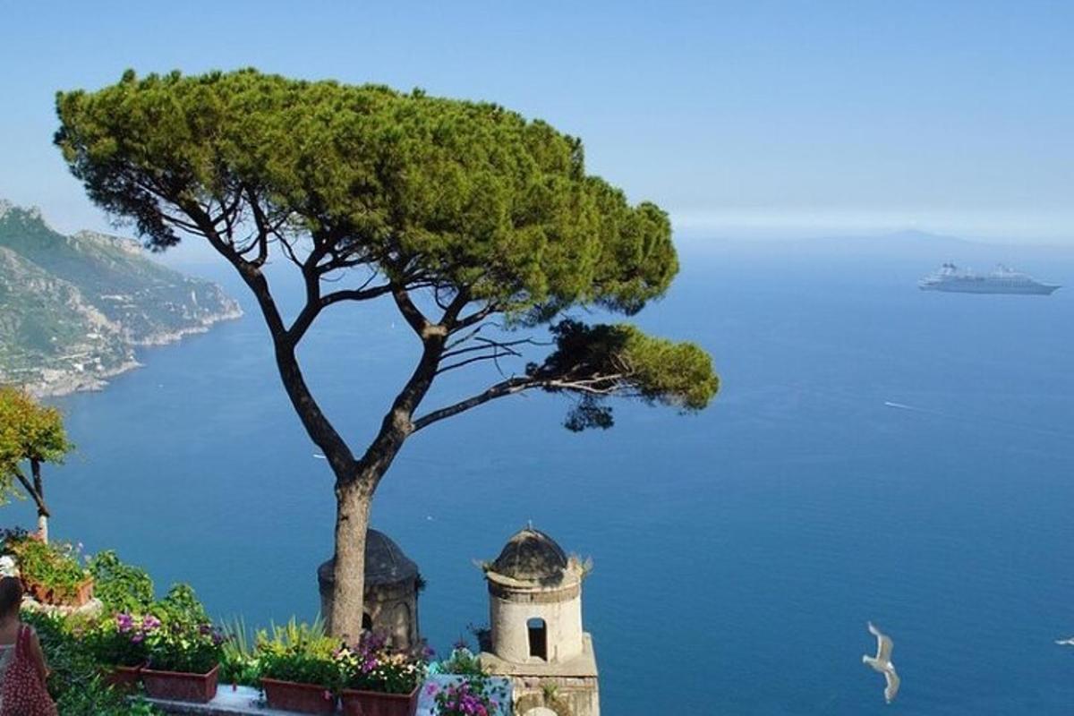 un albero e un edificio con vista sull'acqua