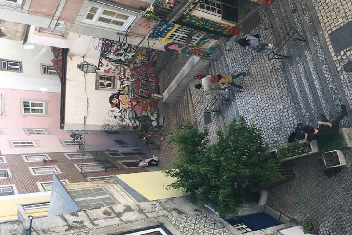 pastato su medžiu vaizdas iš viršaus