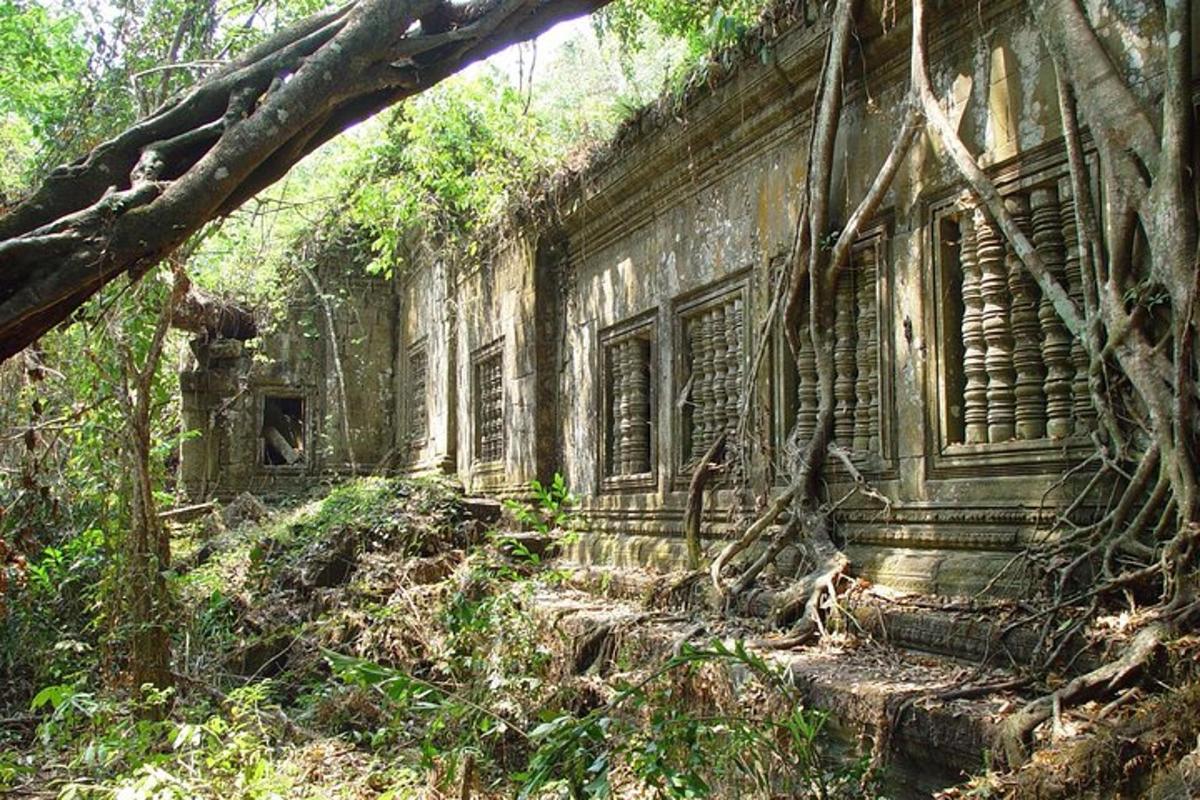 an old building in the middle of a forest