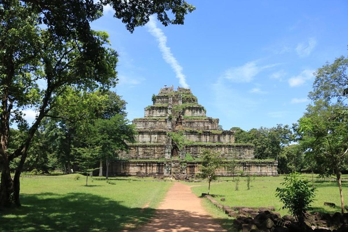 um grande edifício em um campo com uma árvore