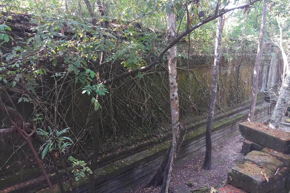 um jardim com uma cerca e algumas árvores