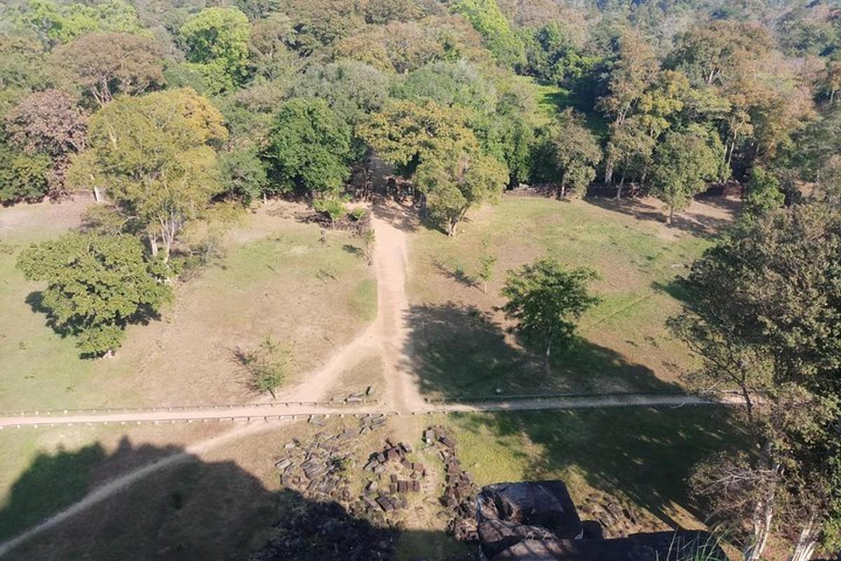 an overhead view of a park with trees and a road