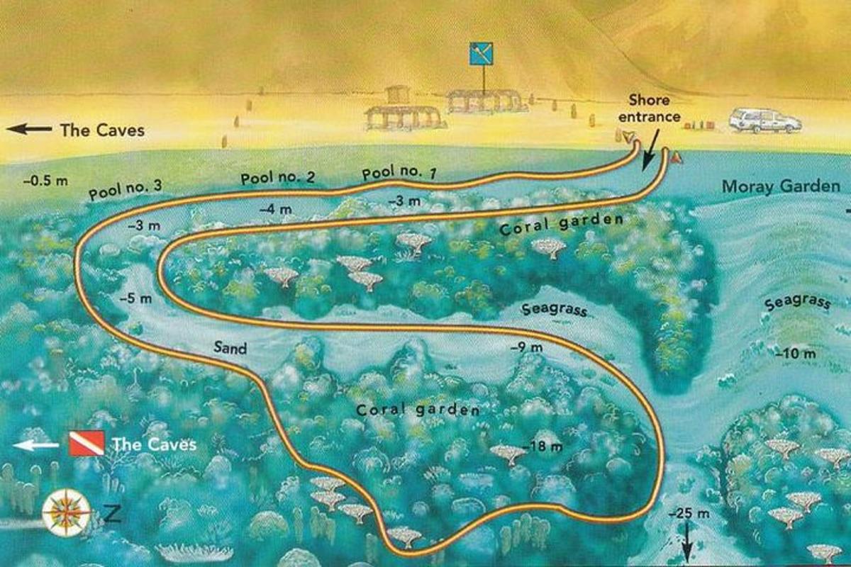 una mappa della costa dell'oceano
