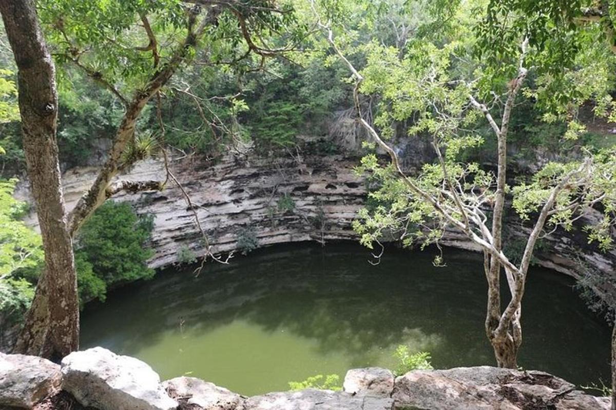 Una gran piscina de agua verde con árboles y rocas.
