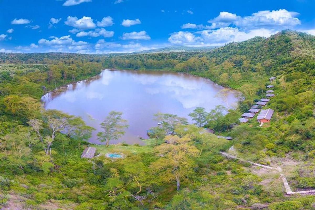 uma vista aérea de um lago no meio de uma floresta