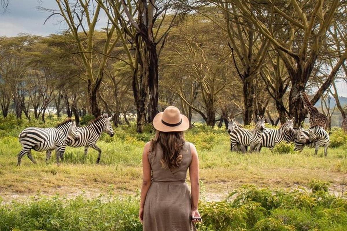 uma mulher de chapéu olhando para uma manada de zebras