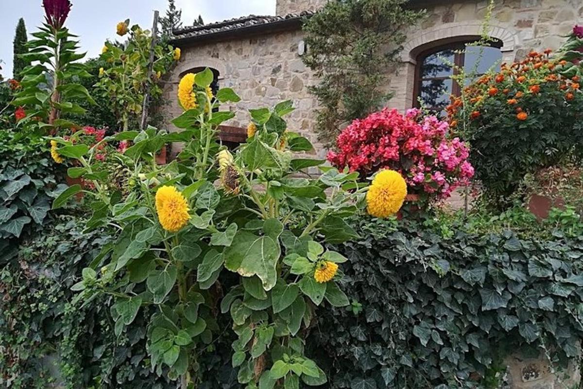 un giardino con fiori sul lato di un edificio