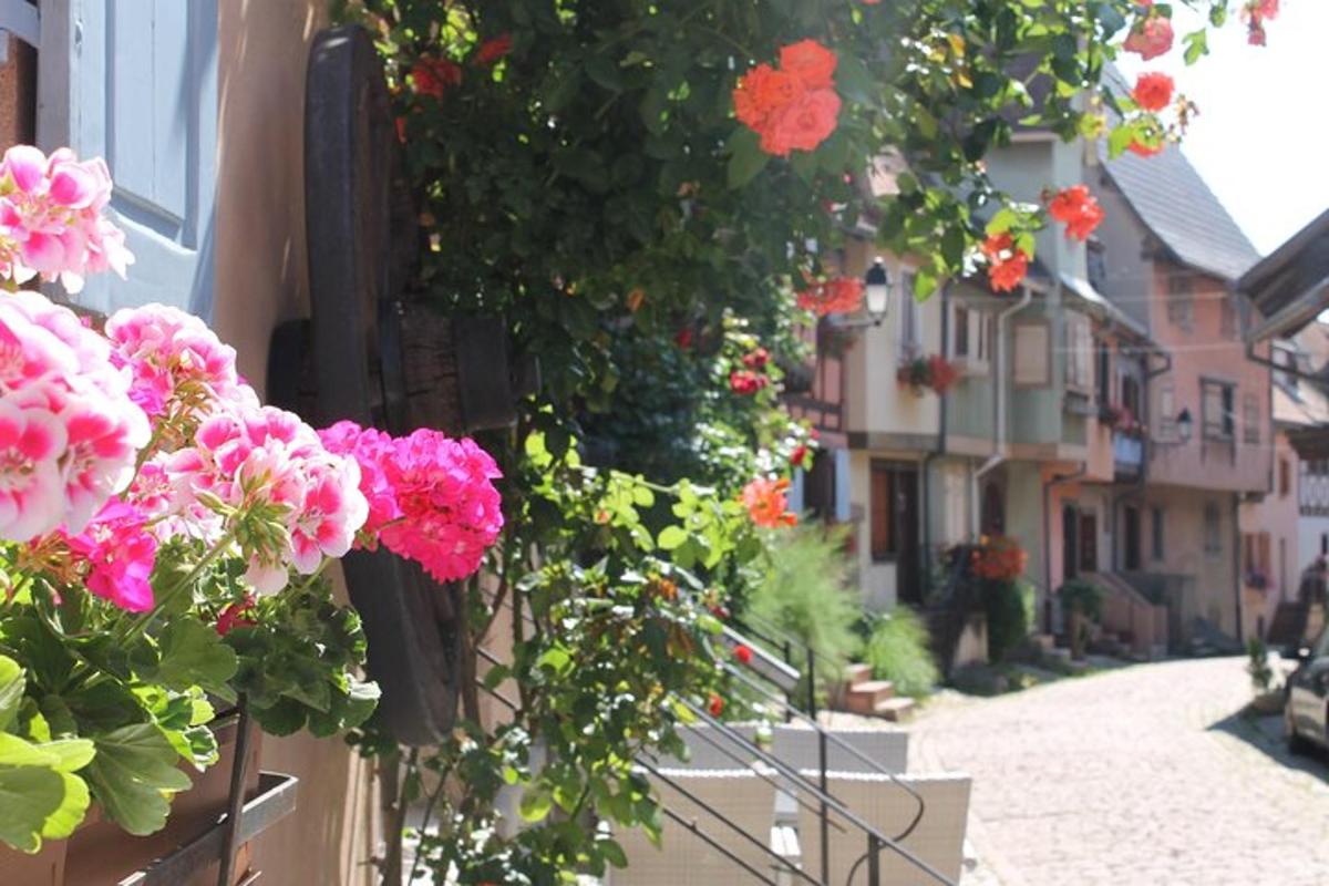 a bunch of flowers on the side of a building