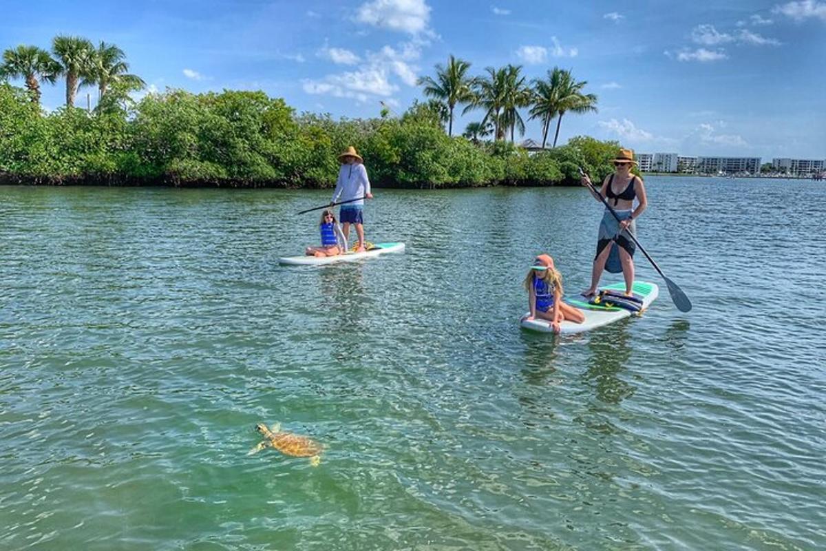 a group of people on paddle boards in the water