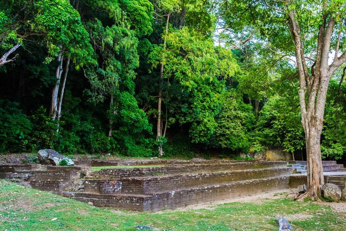 um grupo de degraus em um parque com uma árvore