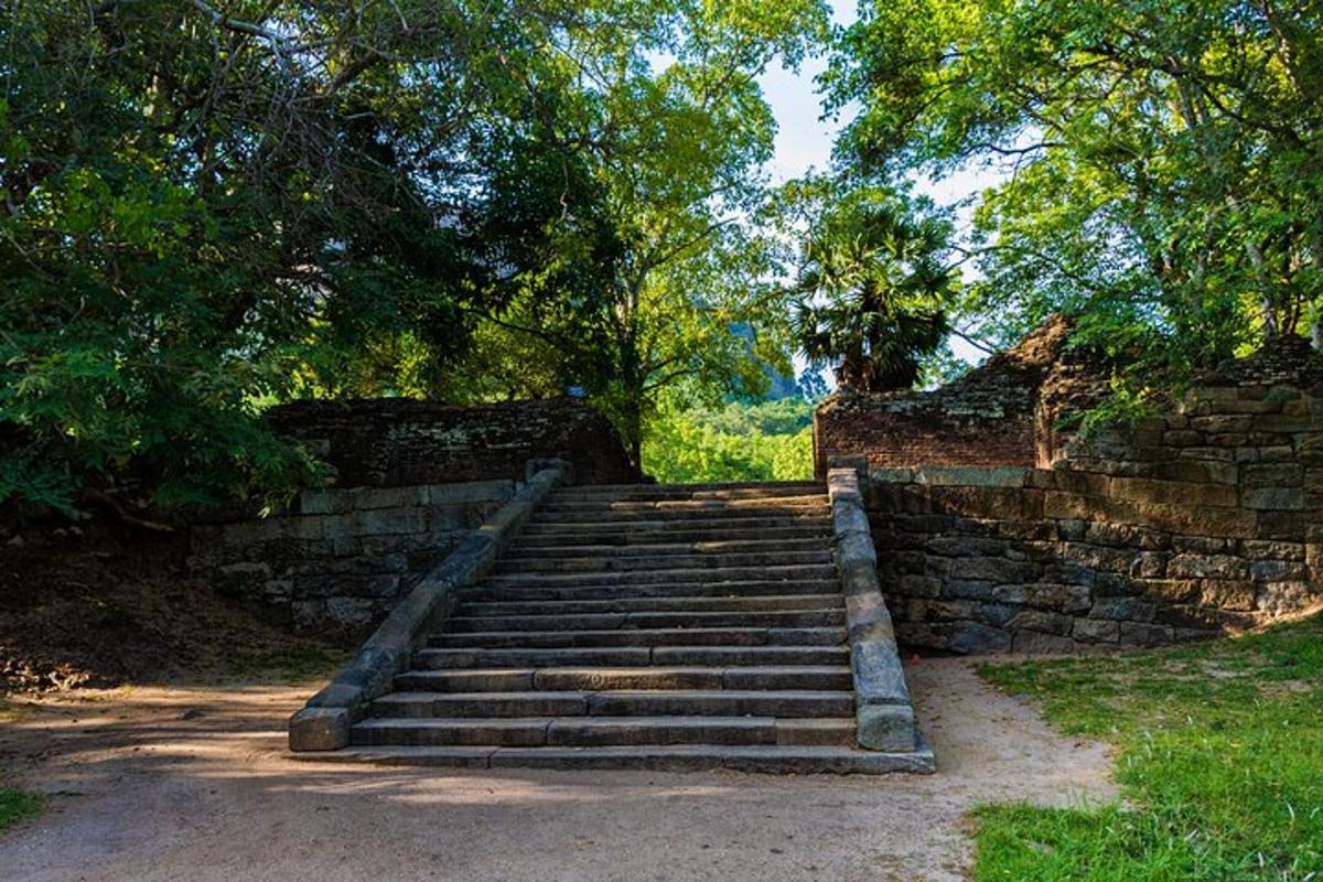 satu set tangga batu di taman