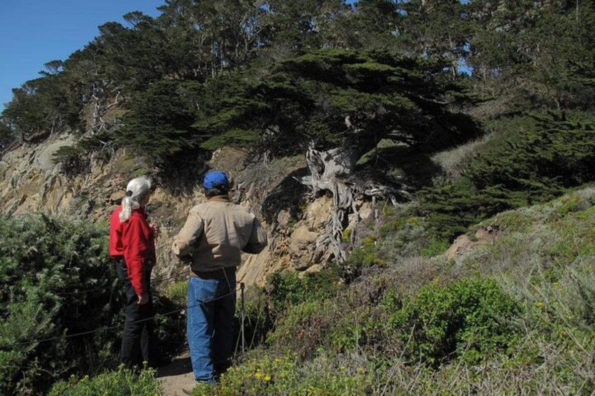two people walking on a path on a mountain