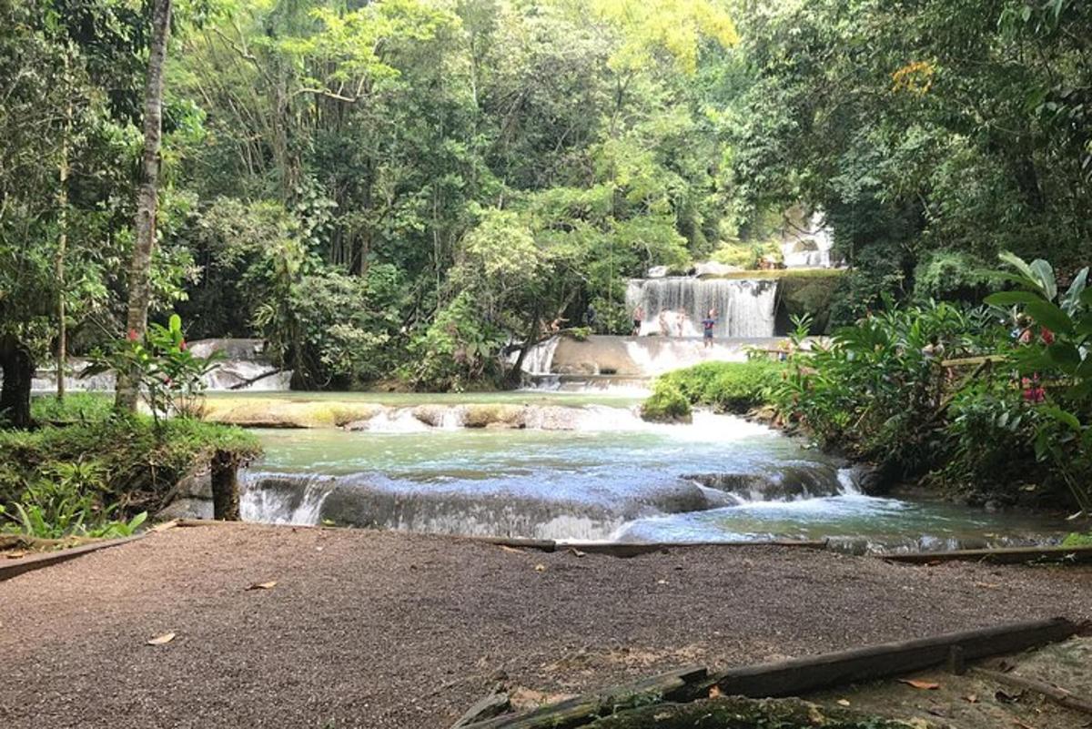 a river with a waterfall in a forest