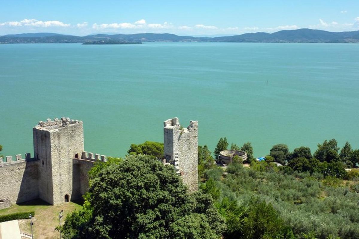 vista aèria d'un castell al costat d'una massa d'aigua