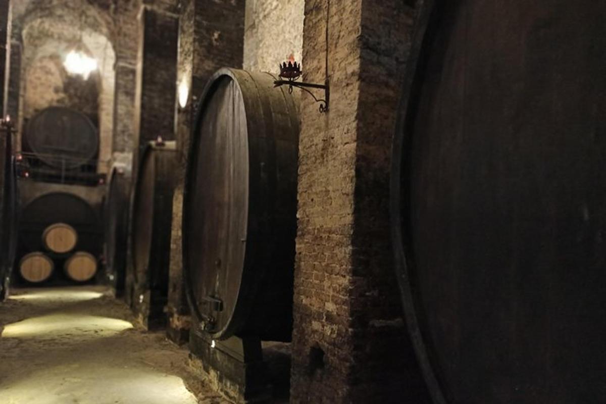 una filera de bótes de vi en un celler
