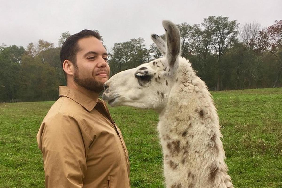 a man standing next to a llama in a field