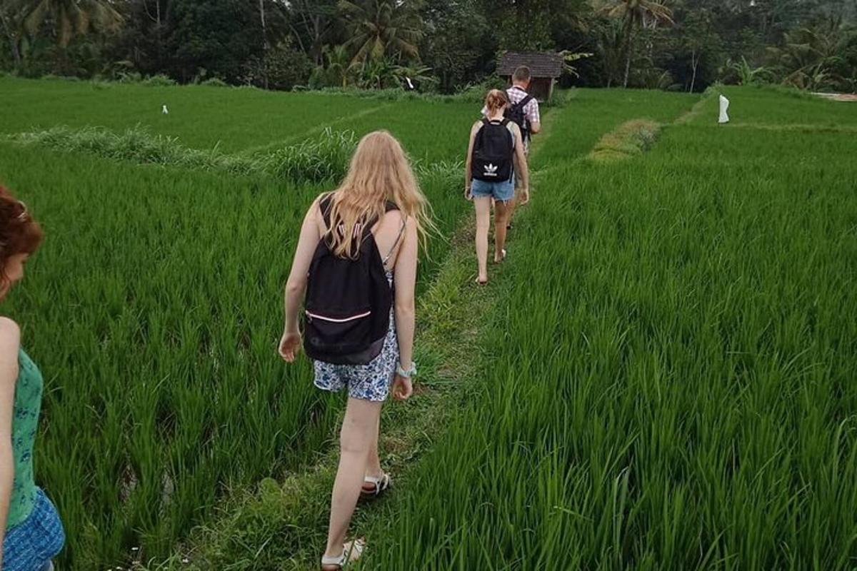 un gruppo di persone che camminano in un campo