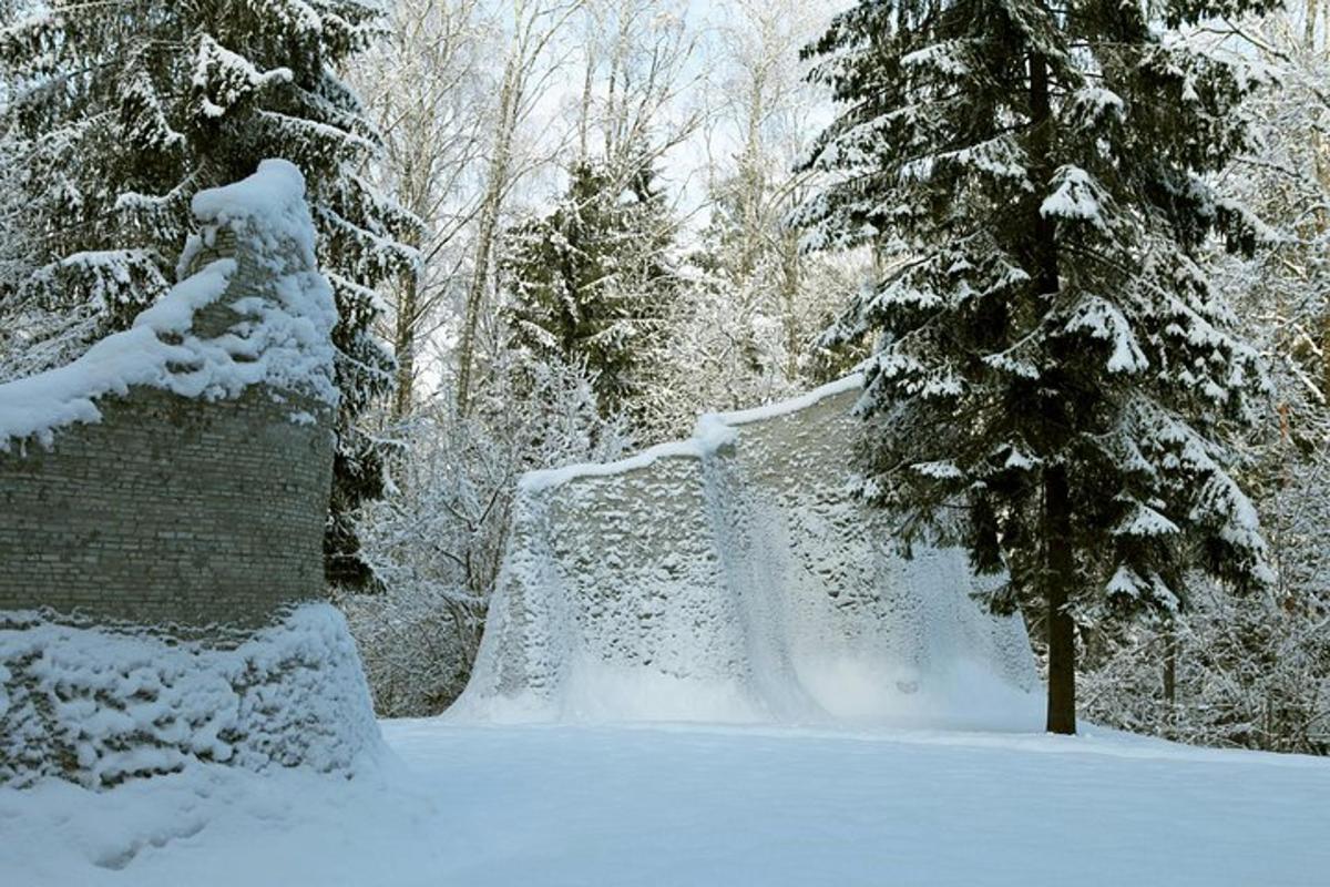 a snow covered park with a waterfall and trees