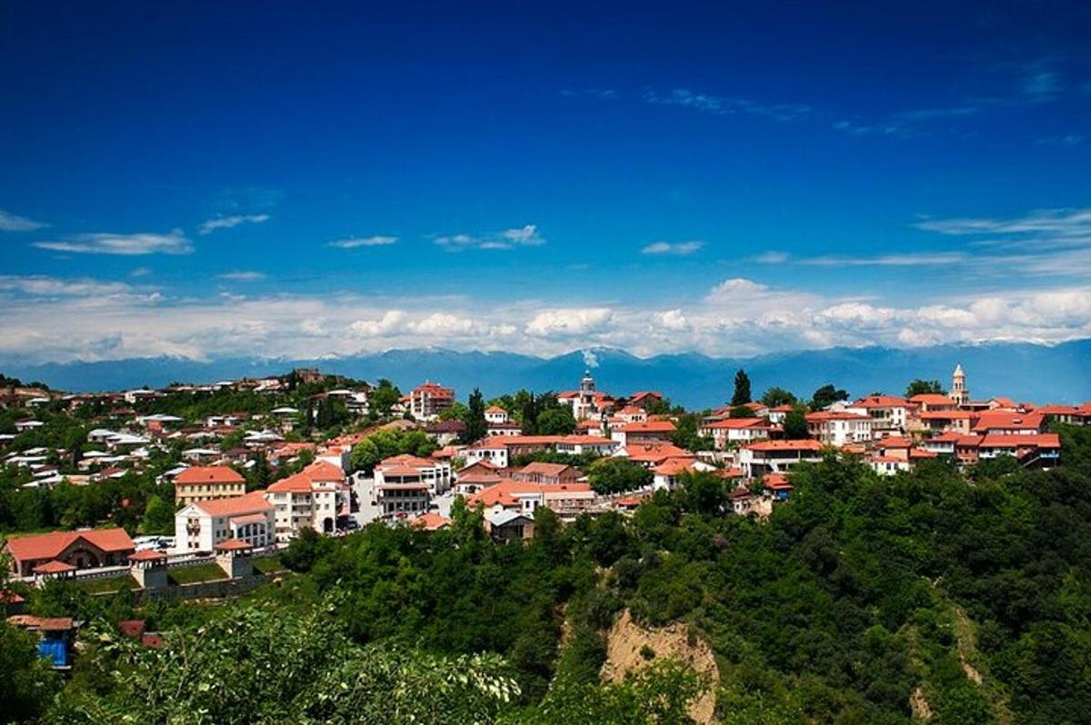 uma cidade no topo de uma colina com casas