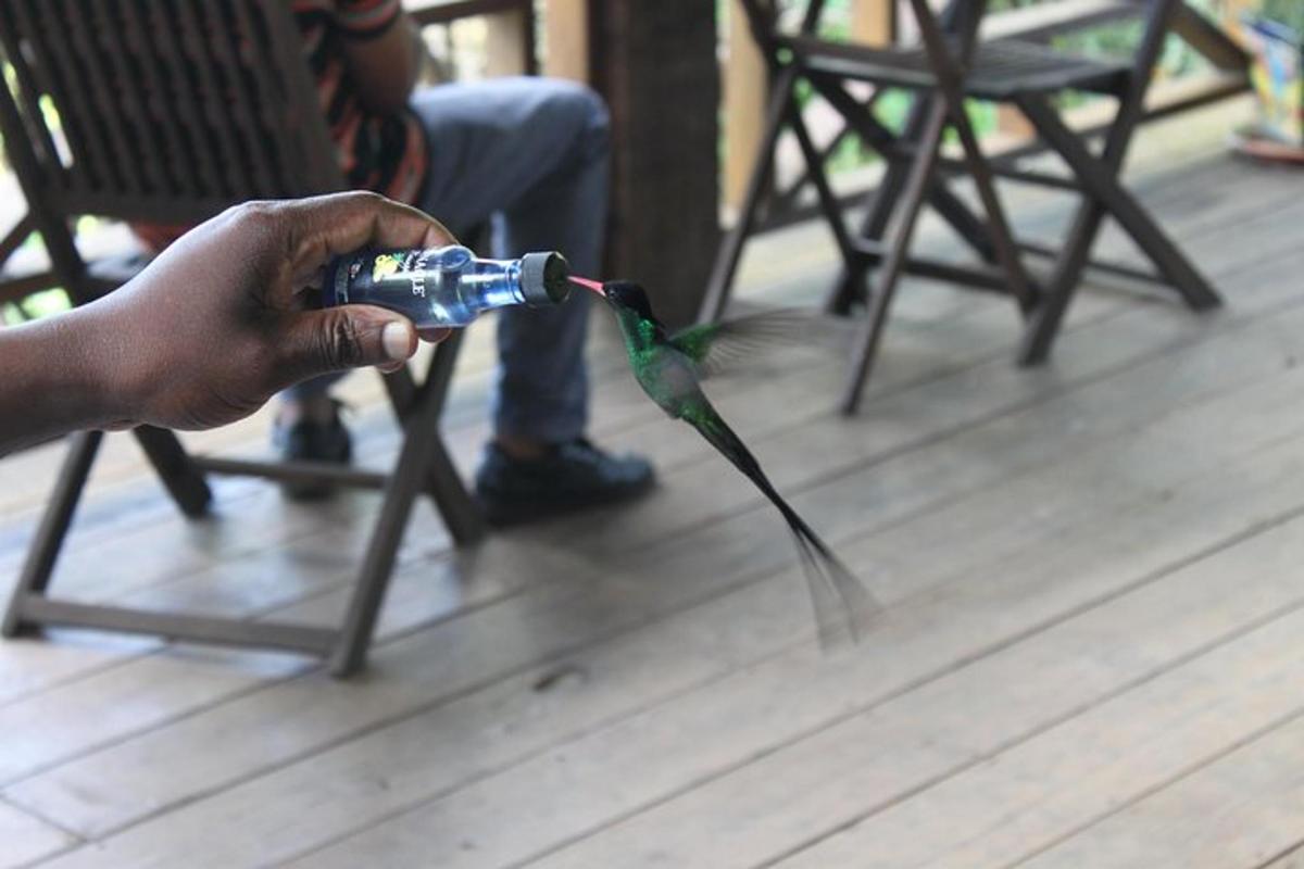 seseorang yang memegang botol air dengan seekor burung