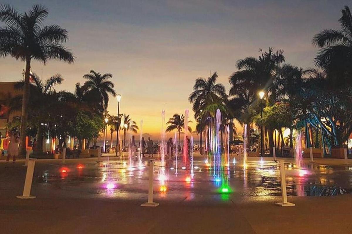 una fontana in un parco con palme di notte