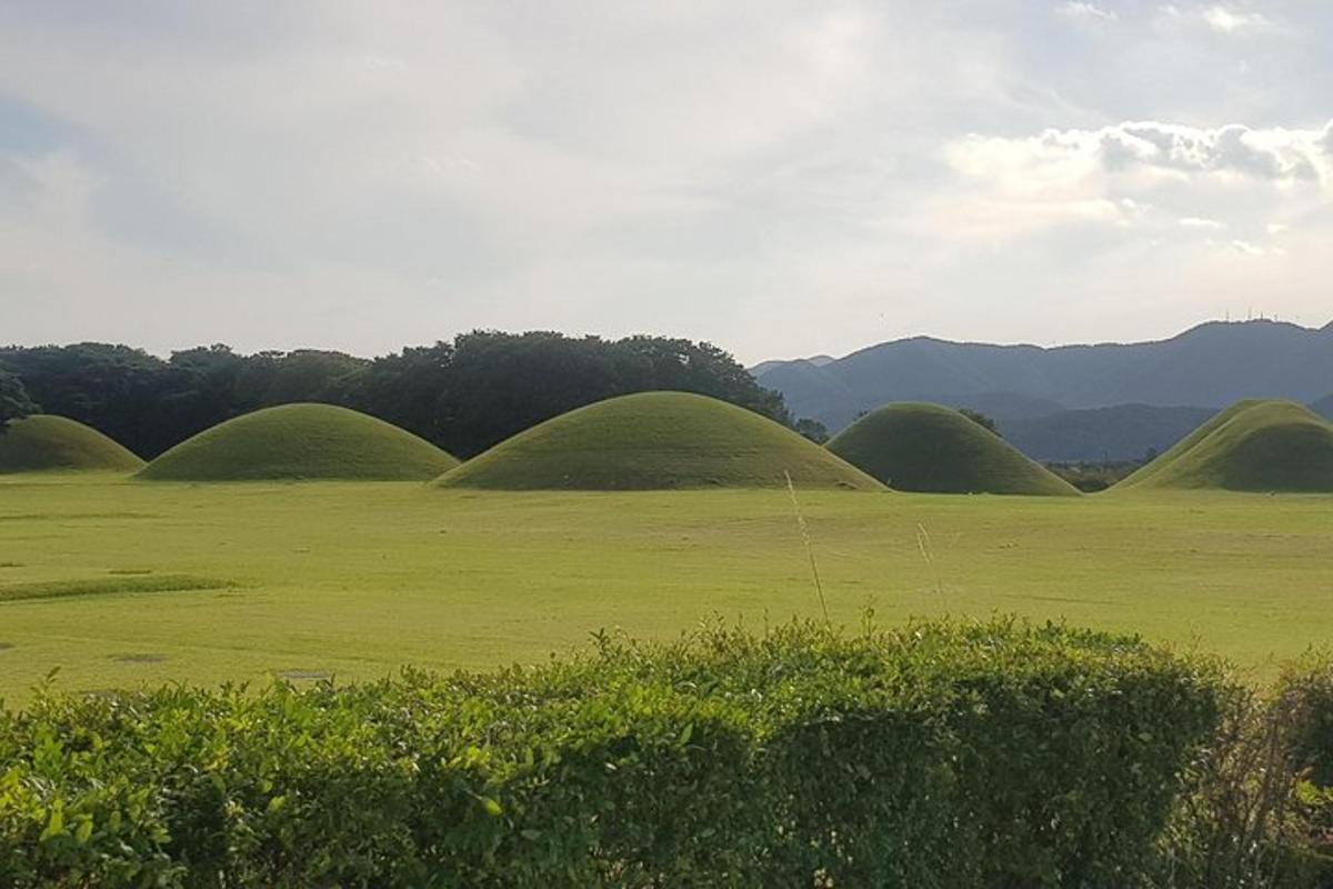 a group of domes in a field of grass